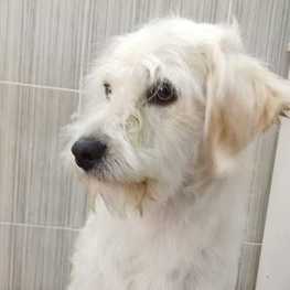 D 0d45f556 1413 4e5d 8c94 158b6e53c230