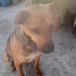 D 4b76ae49 31bb 40b6 8aa1 4b89bc24b9ce