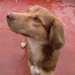 D b56bb372 5957 4fa4 99c0 225f8c864018