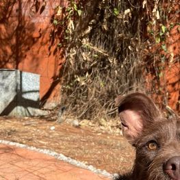 D a35df6de 4417 41bc b994 d7e4b1260679