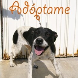 D 25e9fe30 f24e 4947 b592 b453ae8262d8