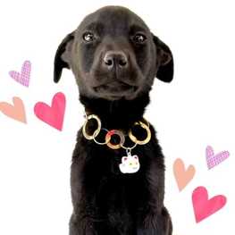 D 24229283 ce74 4cb9 a4fb ecef20678819