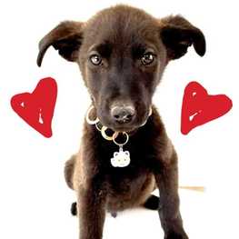 D 4b2ecbf0 1ae0 4a05 ab69 23a16665f65f