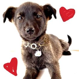 D dc667daf 989c 4bbc 9459 e7742188b2f2