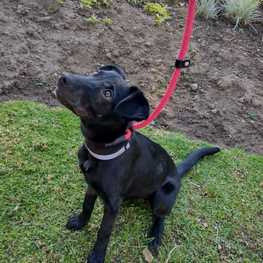 D d16178c7 a28e 499e b623 2e9f7fbc59b7