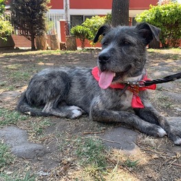 D cd8ad902 9aac 4915 9f9b 2711356e8bb8