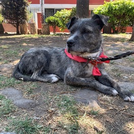 D be6d97a4 23c1 40b6 934b c899c11b5220