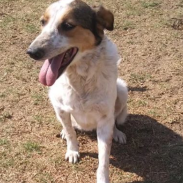 D a901a959 122a 4bcd 8d64 a4ddb998f1dc