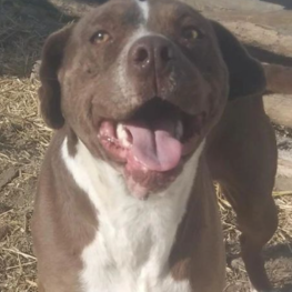 D 05e619e0 5aa6 46de a95b 6503cb95e8a9