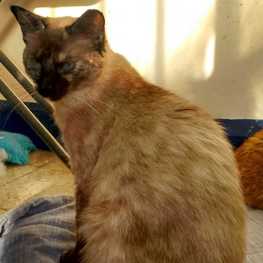 D 1289ca86 4327 41a5 8312 4c2a59cb75f2