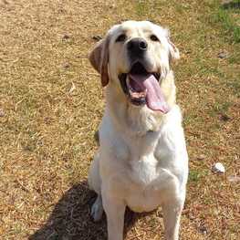 D 3a989d43 b606 4cd1 ab7b ad06469cdf03