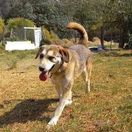 D 23ce69b7 cbf6 4043 994c 7e510067059a