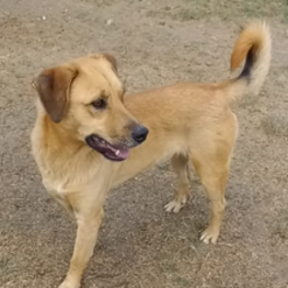 D 4ba49685 9ad6 4a0b 8eae 878f09958ff1