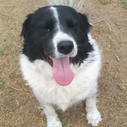 D 9e7f8687 f5cc 401c 98b3 b99ac071b7c0