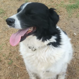 D bab5b69d 2d88 4be4 9bca 49817ca26d62