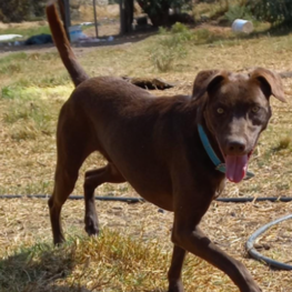 D 83782a6e 7aea 4091 9610 f4de0b6a1c49