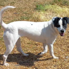 D dc7c60fc a990 4dee ab8c edb3d4e8f427