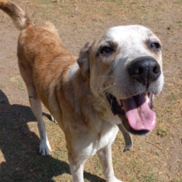 D 5cabac15 a3c6 44eb 983b dfb1d071bf1f