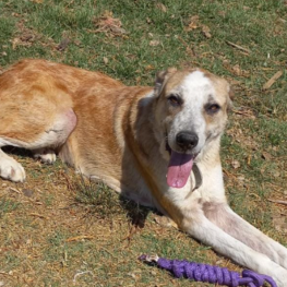 D 4baf6918 eb10 4eef 9069 ae311909a708