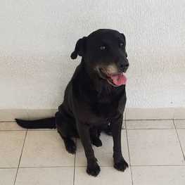 D 8221e42b e521 425a 8c70 5562dde64672