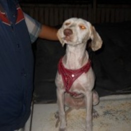 D 08d12dbd 510b 420b a093 6b9dc5ca5b1d