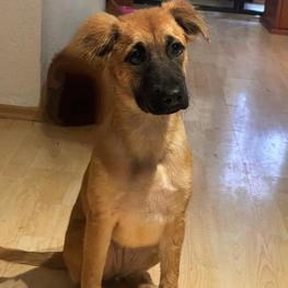 D 04a2968e 9021 42b9 bd72 555169967a49