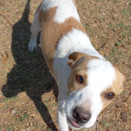 D 1418130b f54f 4916 9bf1 4c703f36d3ac