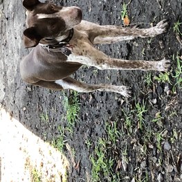 D eaef0717 5fc3 44fd bb3c 82443b5600ea