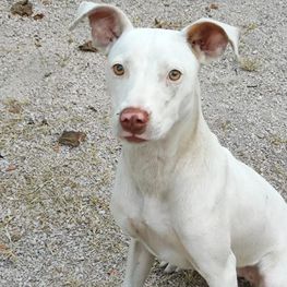 D 170da7b2 c0b8 44b4 acc8 98b00820d9e0