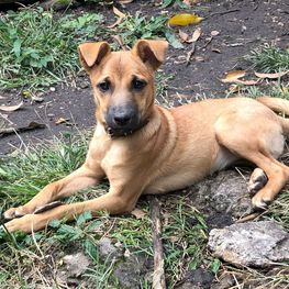 D 79ef7c43 7500 459b 84a3 c2ff2f586962