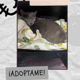 D cc411923 ac87 4647 b35c dcca8aa2bd52