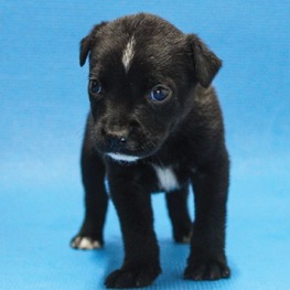 D d6ef306e 5f9d 434e bfd2 86b6e4f3a999