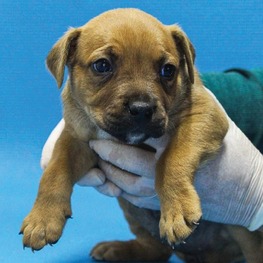 D feef75ff 55d6 4530 b6b3 656d6fbb1fe7