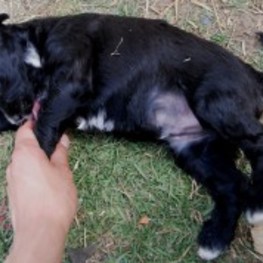 D c48bf339 2bf4 4d2c 917f f072adb86632