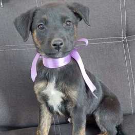 D 1f169d6f 69e1 4972 b665 108479fb79b7