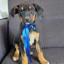 D 4ef283c6 6712 4ec2 8000 fb040c2c1f5c