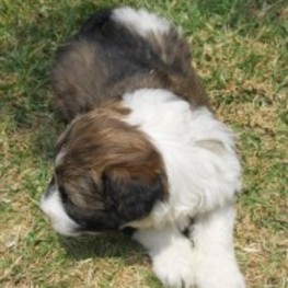 D 76a6c917 6cfe 4fe4 a0f7 6b3c97b1968f