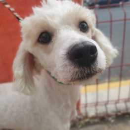 D 6dab6770 b527 4efb 9553 f71e11bf28a2