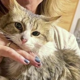 D 855399a6 cce6 47b9 8ac8 15c7241b5321