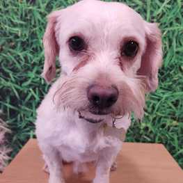 D 76a233c1 04bf 4b8e ba49 057b8cf62c91