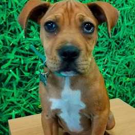 D 7bbc8e85 bea8 4029 bed2 25eef0449279