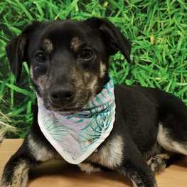 D 2797eb54 14c1 4e08 8e22 21c845e2ce0a