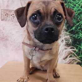 D 3ee05235 8406 4d59 af6f e529d181fab0