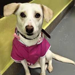 D 77177f2b 7e5b 488f 9b3e 459320381daf