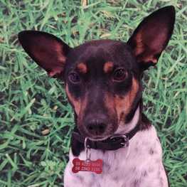 D 9e99d346 6c9c 48be 9294 c0392d12b083