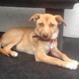 D d4420e19 6cc0 4b8d 9763 6c9361a278d7