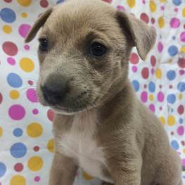 D b8337481 bafb 4926 8c47 8e69f4f5d22c