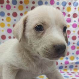 D d65b6ee9 5e4c 4879 9089 cded045c91c4