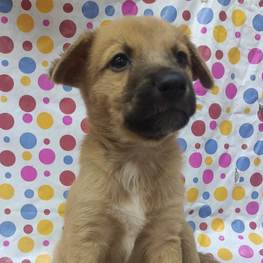 D 3d9f5656 38fb 4326 acfb 9d855b919ac0