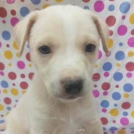 D 69037bc4 408c 4faa bcbe 13bef59ac830